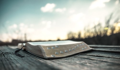 Udite udite, parla il Papa